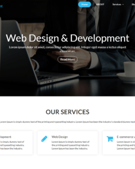 Web Development WordPress Theme